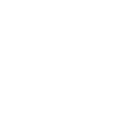 Drupal 11