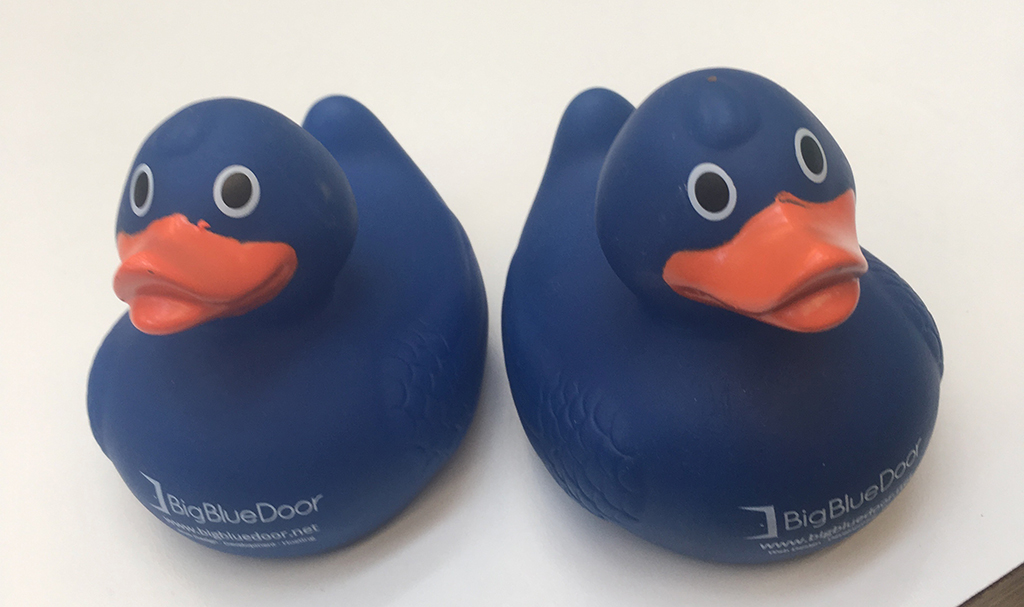 Drupal ducks